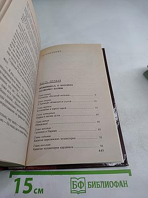 Д'Артаньян - гвардеец кардинала. Провинциал, о котором заговорил Париж. Роман-Эхо. Том I