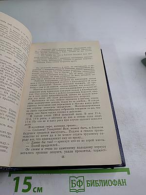 Октябрьские зори