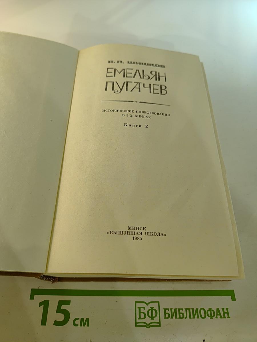 Емельян Пугачев. Книга 2