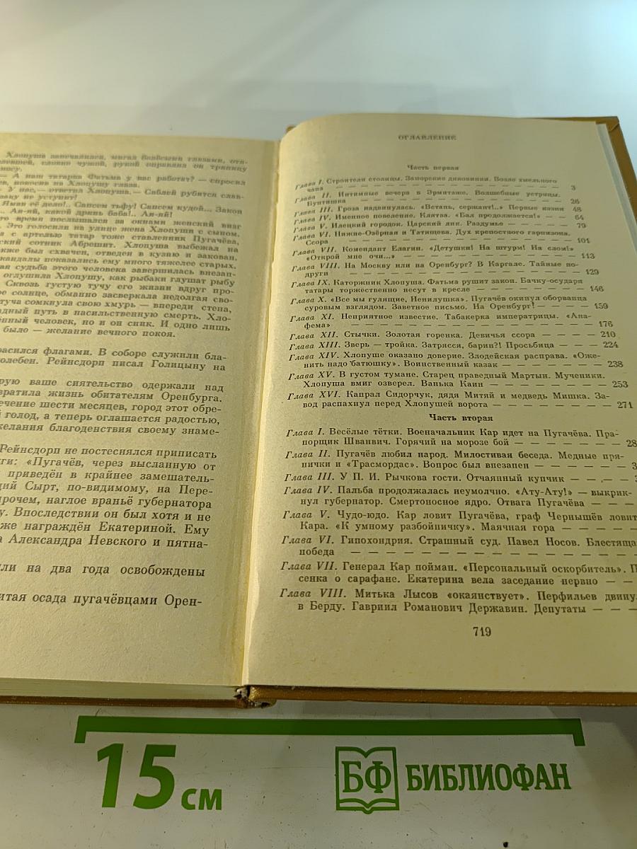 Емельян Пугачев. Книга 2