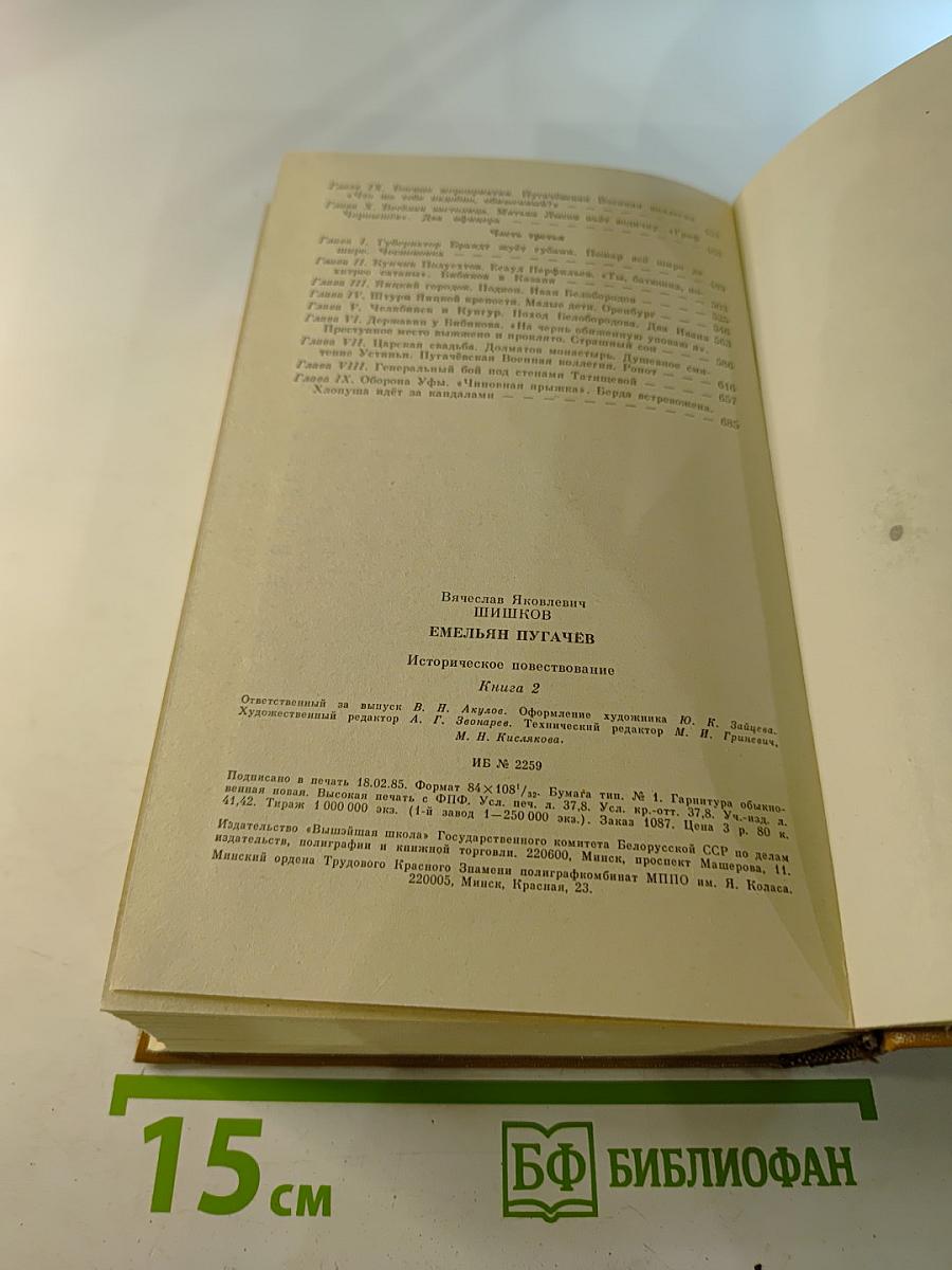 Емельян Пугачев. Книга 2