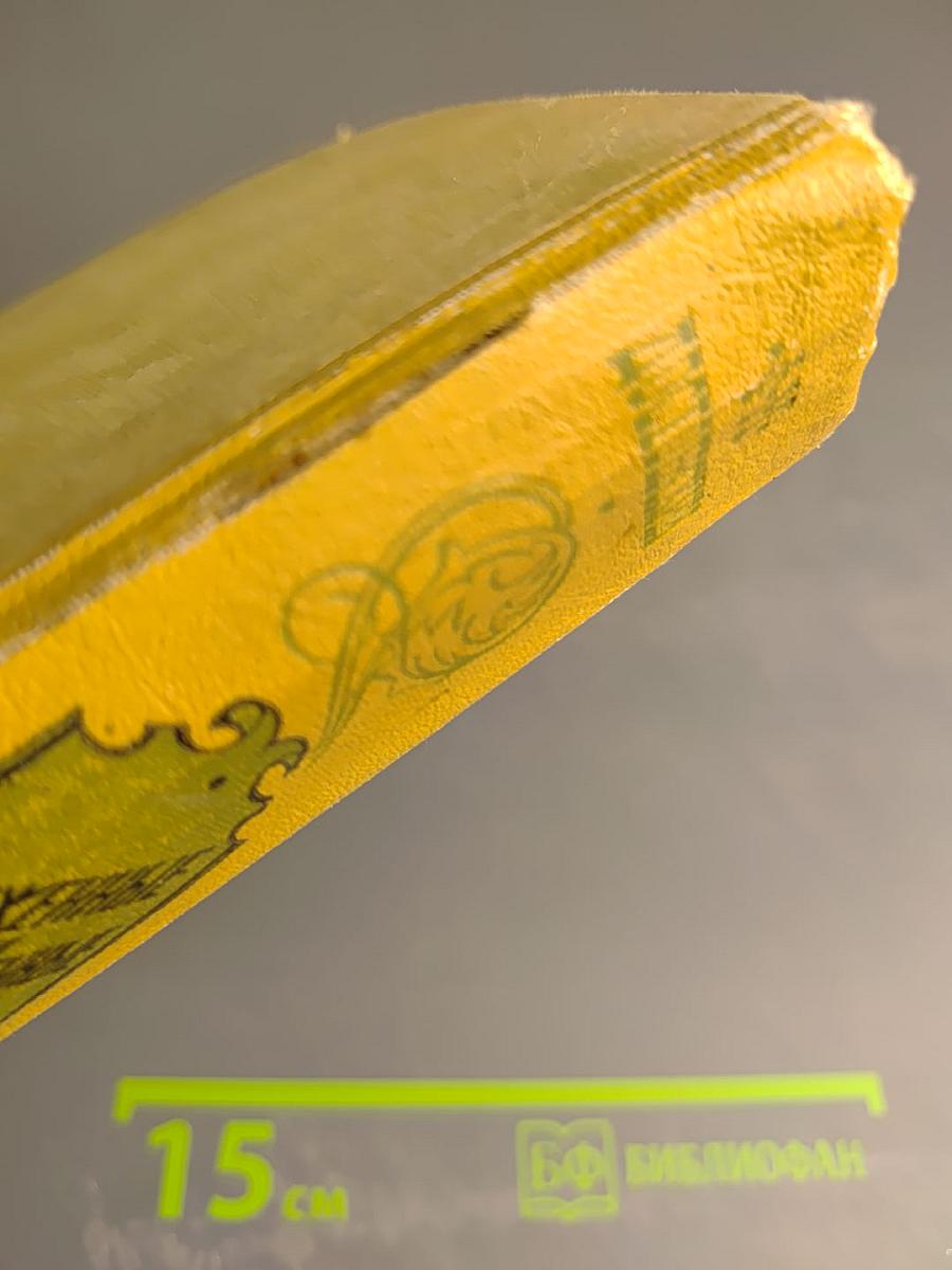 Униженные и оскорбленные