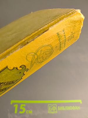 Униженные и оскорбленные