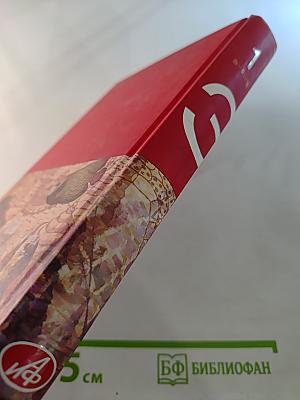 Большая иллюстрированная энциклопедия. Том 1. А-Ама