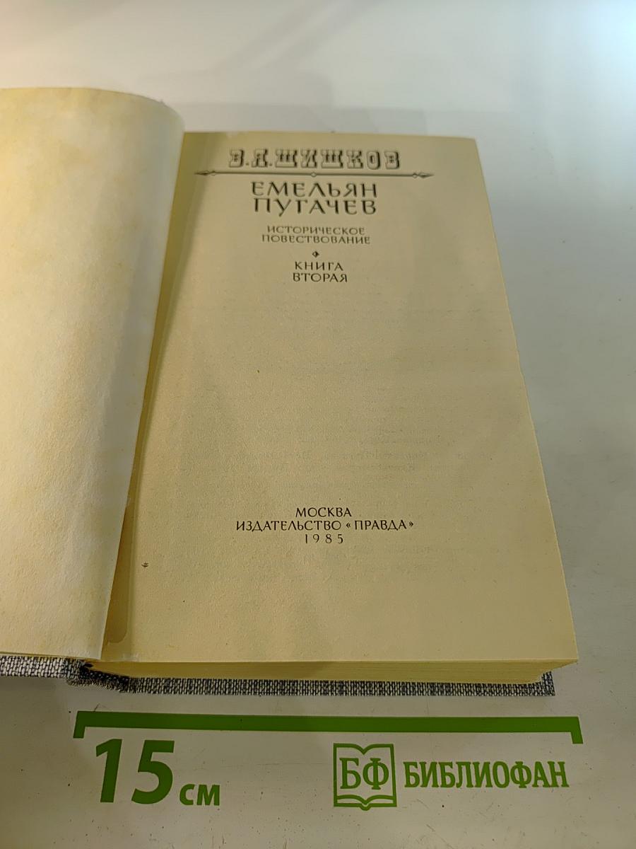 Емельян Пугачев. Историческое повествование. Книга вторая
