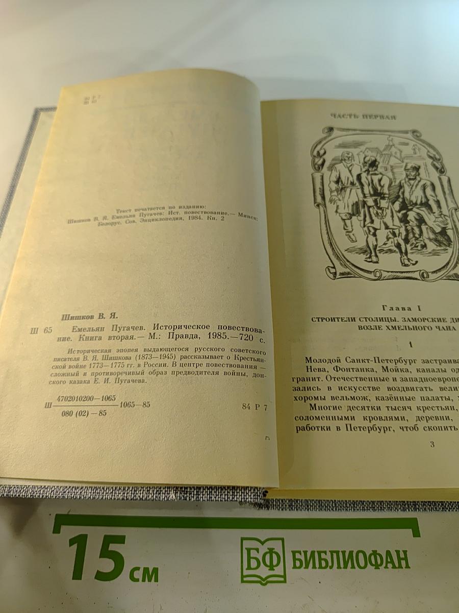 Емельян Пугачев. Историческое повествование. Книга вторая