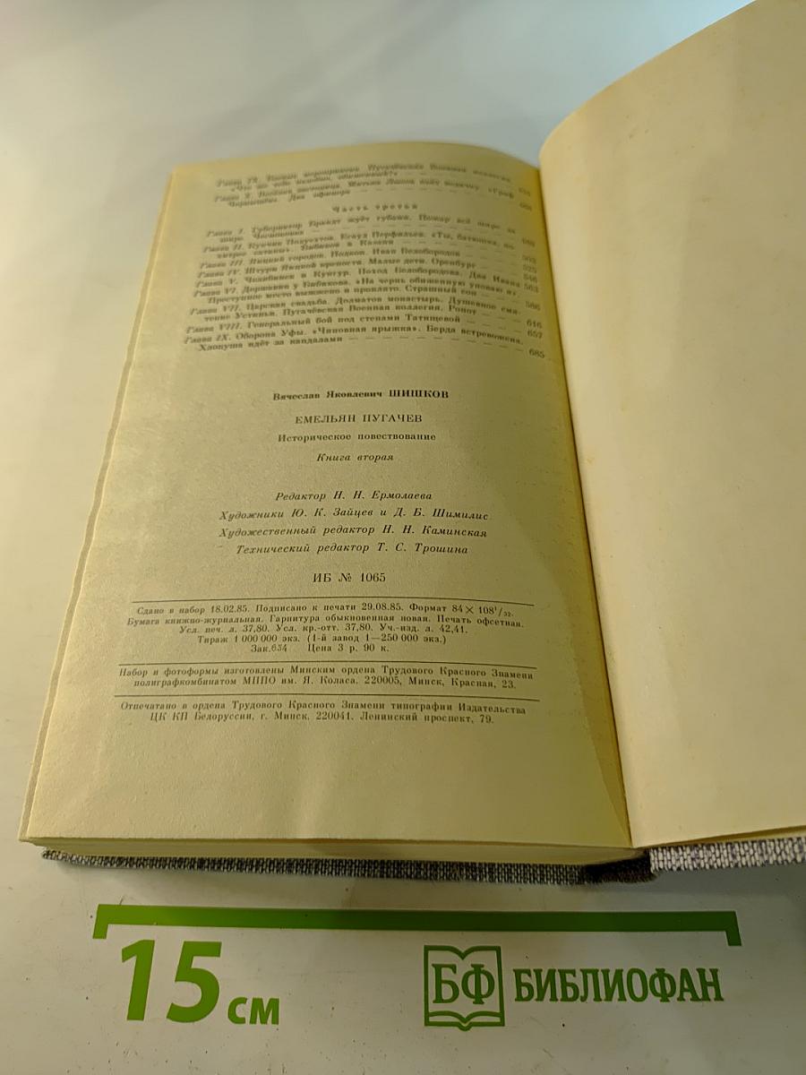 Емельян Пугачев. Историческое повествование. Книга вторая