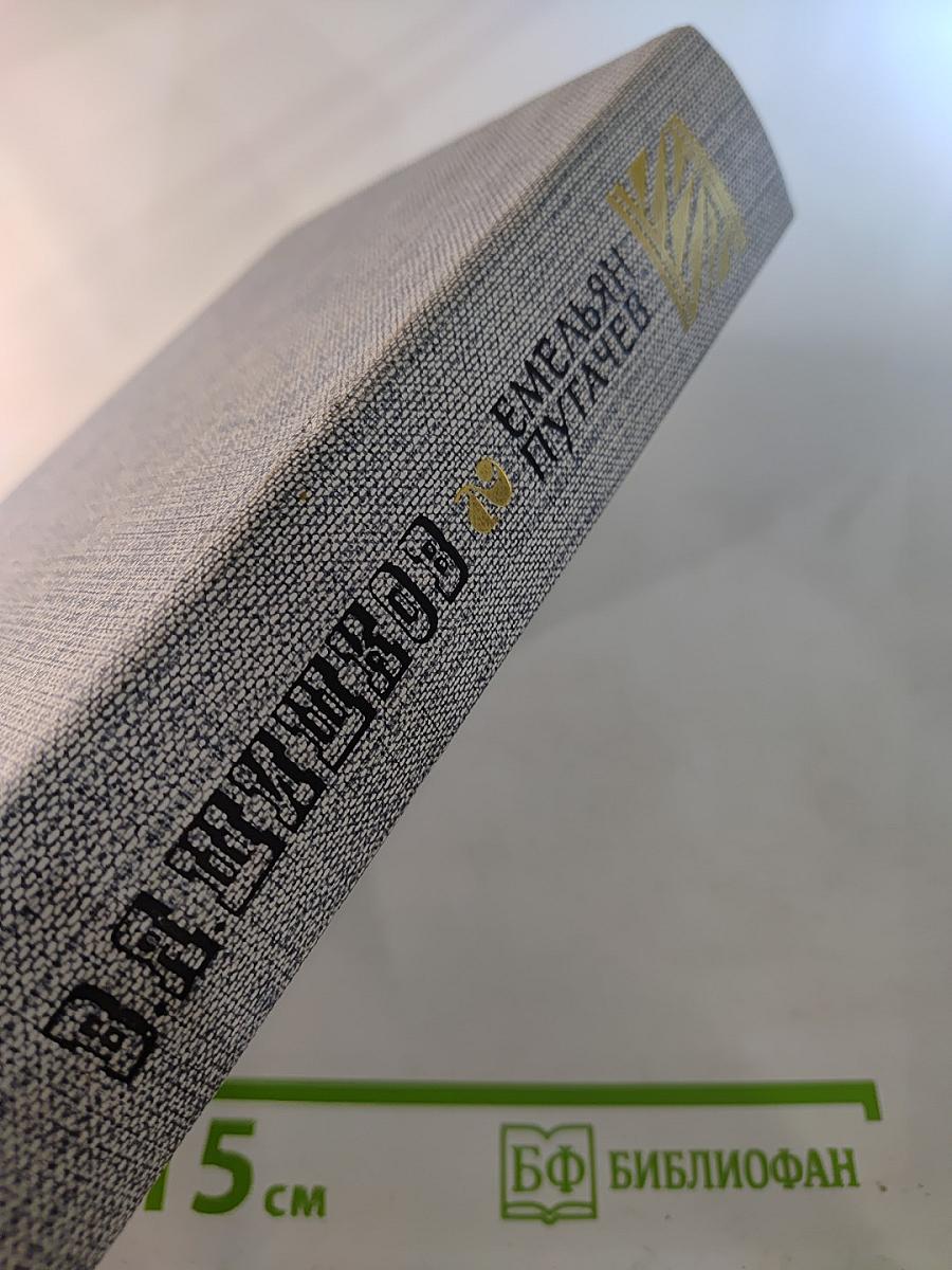 Емельян Пугачев. Историческое повествование. Книга вторая