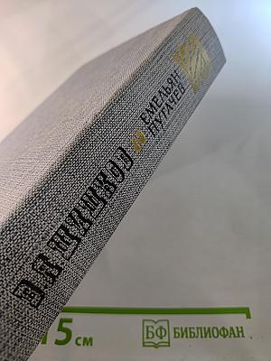 Емельян Пугачев. Историческое повествование. Книга вторая