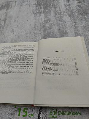 Лесков в Петербурге