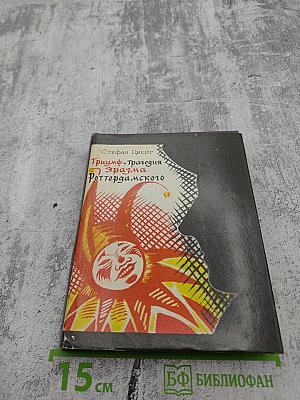 Триумф. Трагедия Эразма Роттердамского