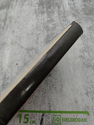 Триумф. Трагедия Эразма Роттердамского