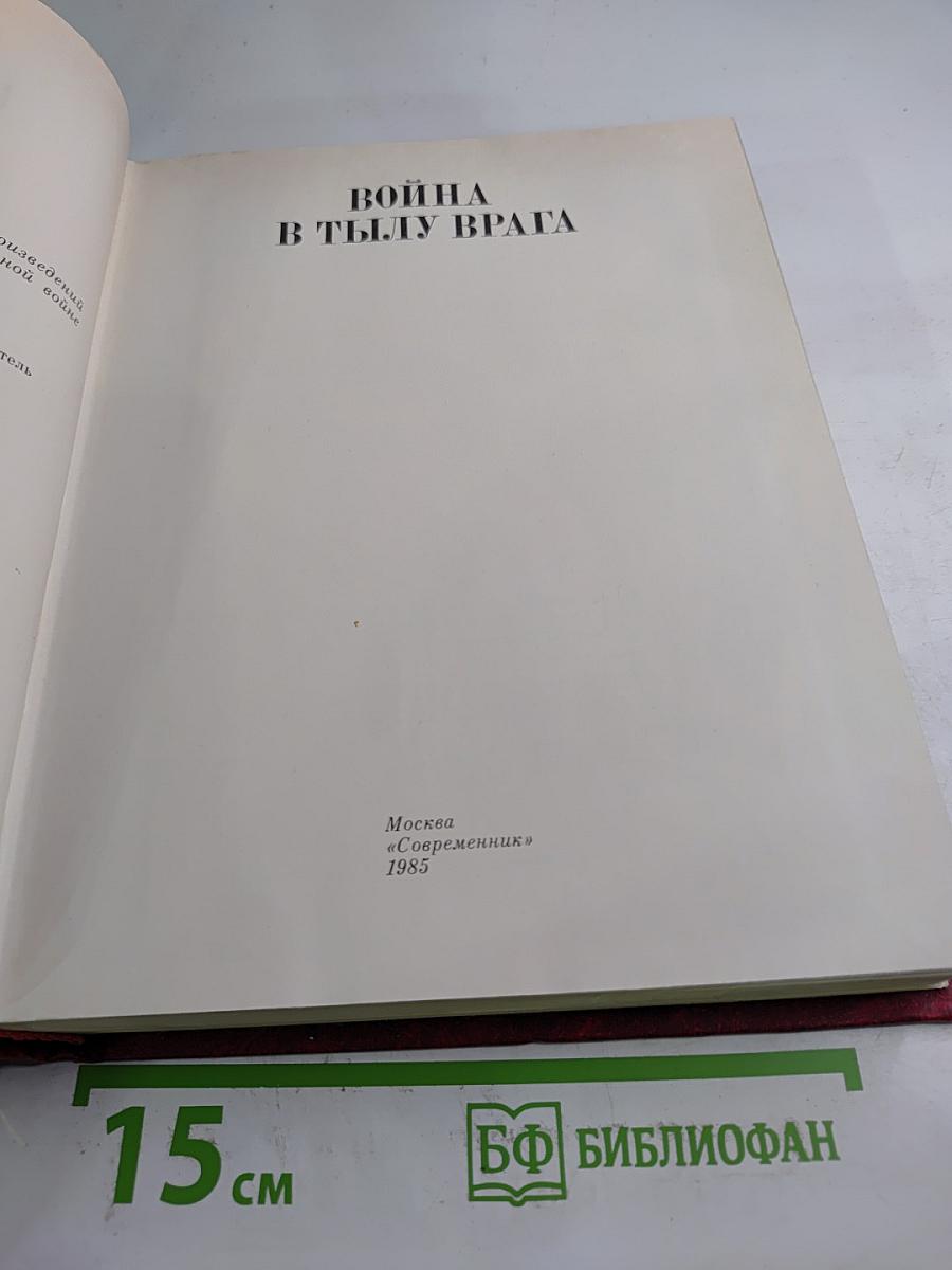 Война в тылу врага