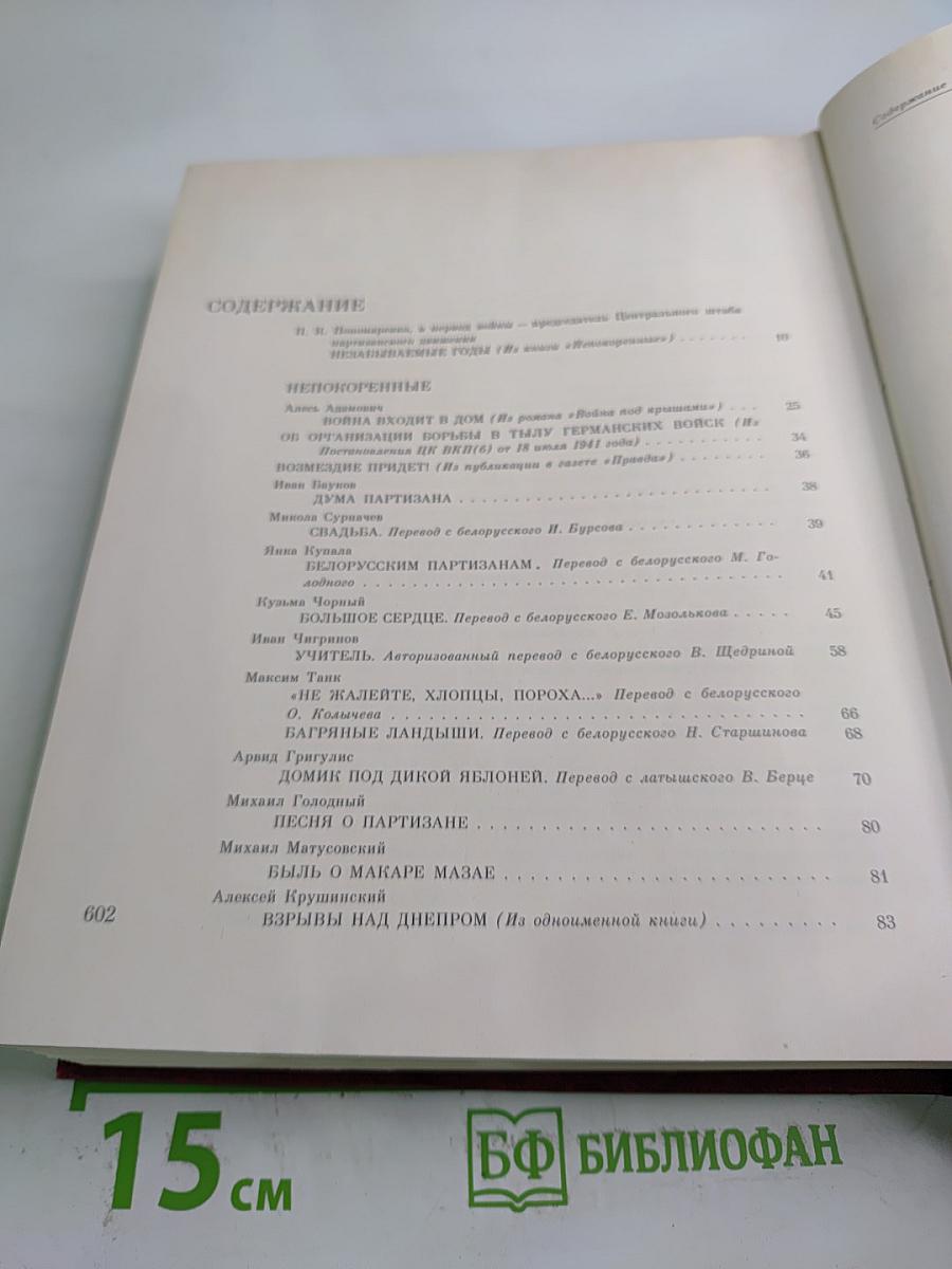 Война в тылу врага