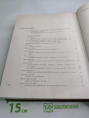 Война в тылу врага