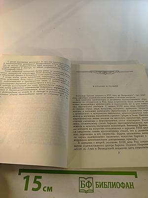 Винченцо Бренна