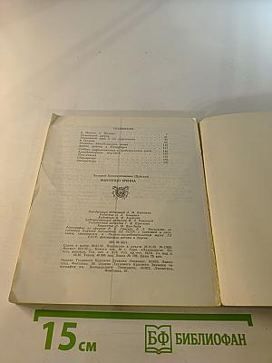 Винченцо Бренна