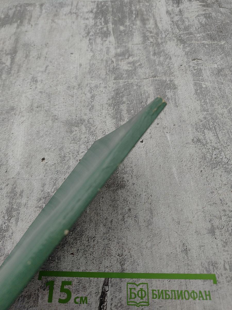 Воскресные путешествия пешком