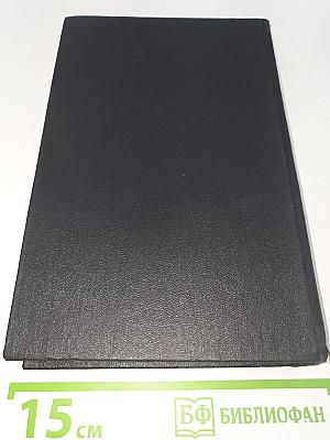 Романизированные биографии. Очерки