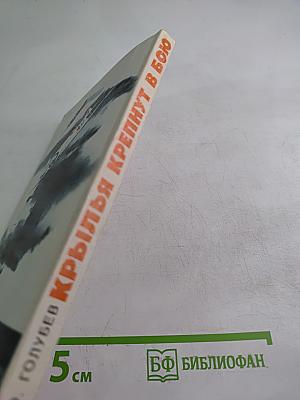 Крылья крепнут в бою