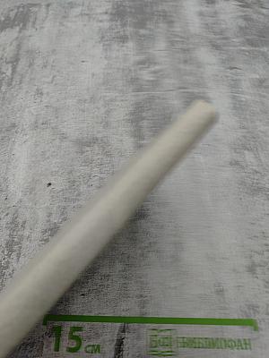 Клавдия Вилоф