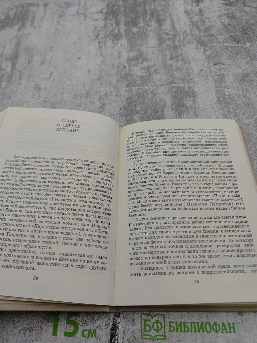 Перед лицом Пушкина