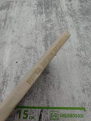 Перед лицом Пушкина