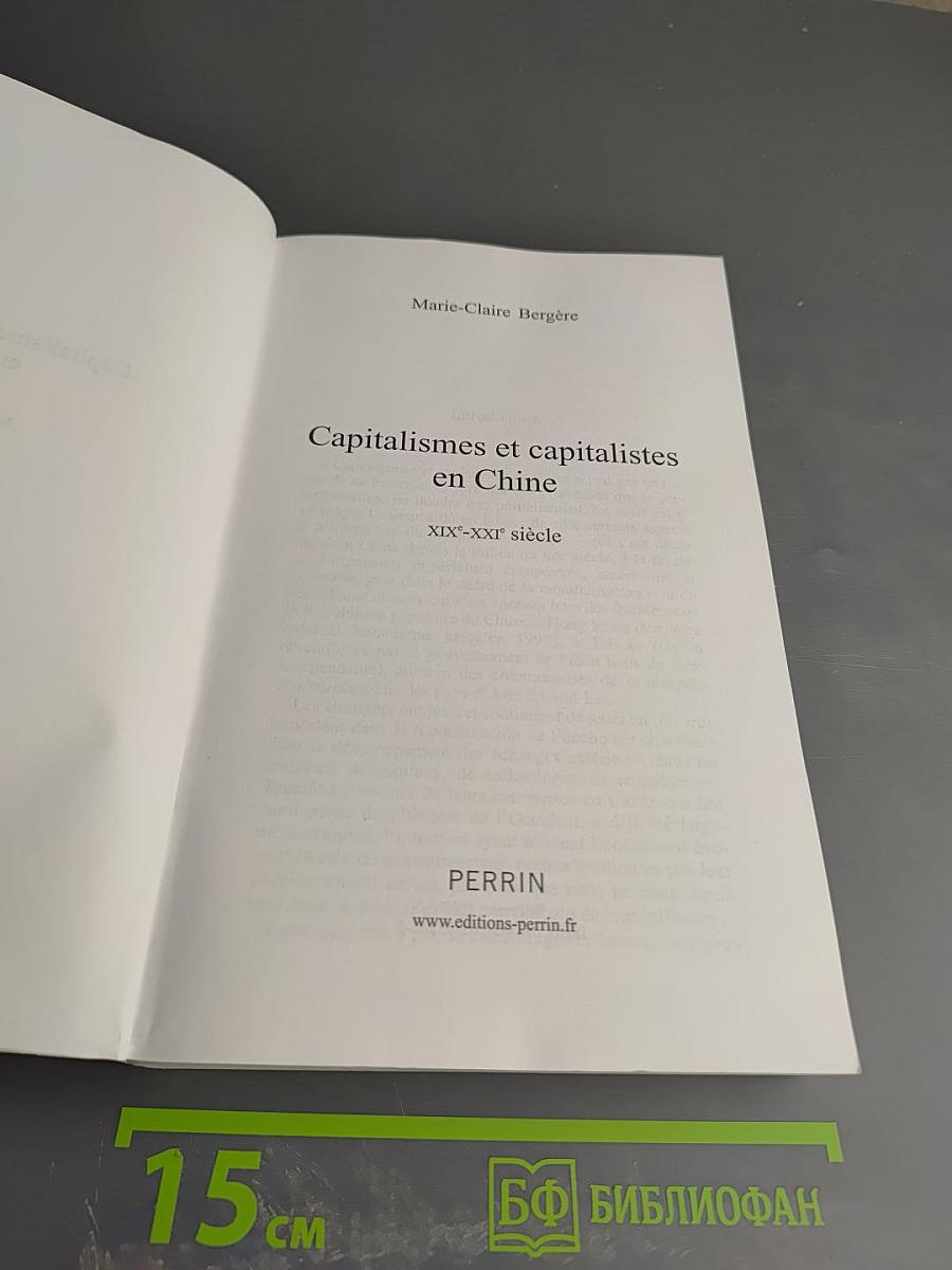 Capitalismes et capitalistes en Chine: Des origines à nos jours
