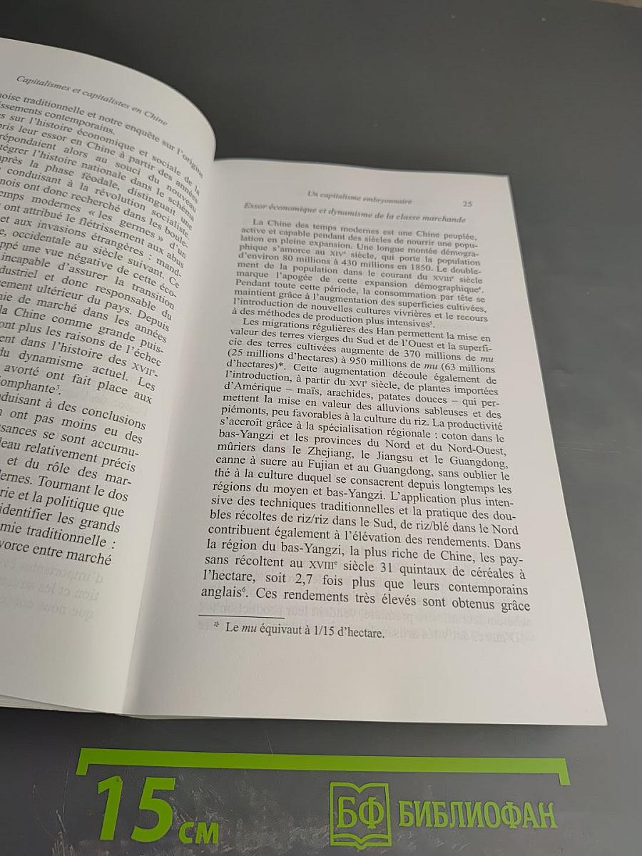 Capitalismes et capitalistes en Chine: Des origines à nos jours