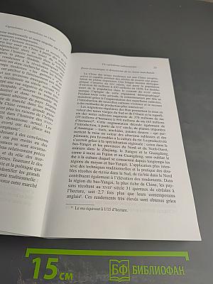 Capitalismes et capitalistes en Chine: Des origines à nos jours
