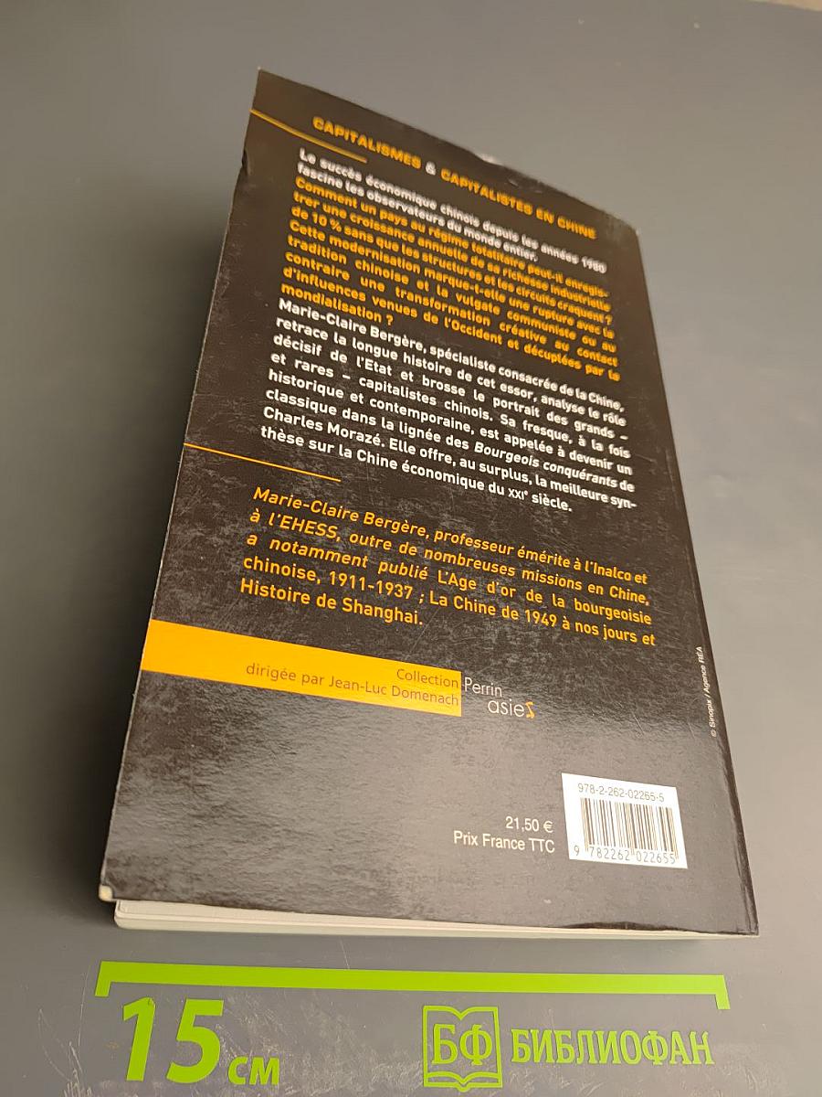 Capitalismes et capitalistes en Chine: Des origines à nos jours