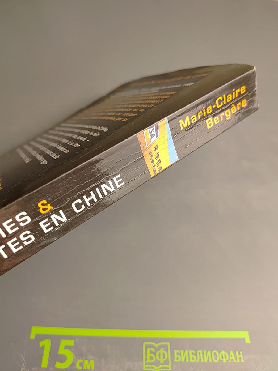 Capitalismes et capitalistes en Chine: Des origines à nos jours
