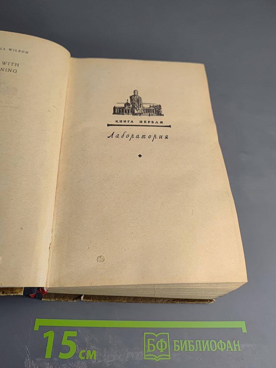 Жизнь во мгле