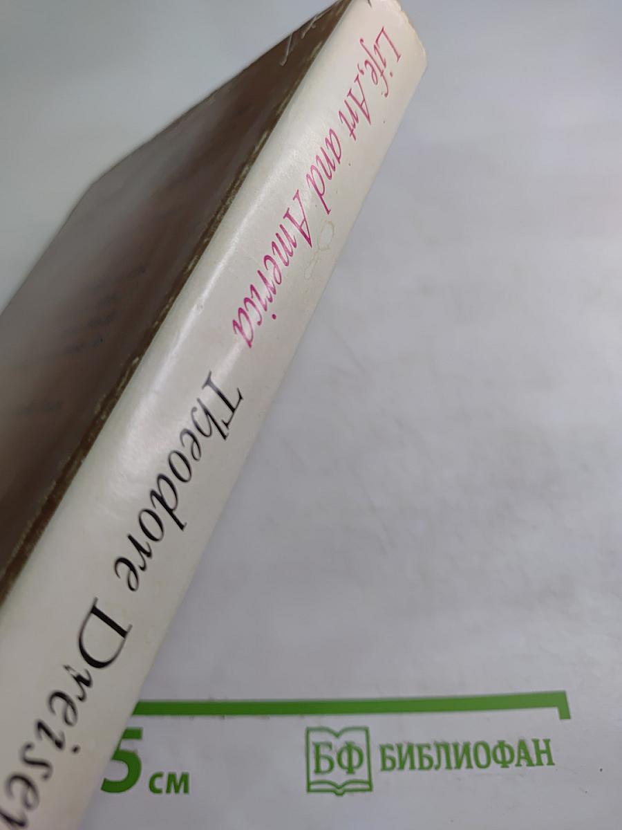Theodore Dreiser. Life, Art and America