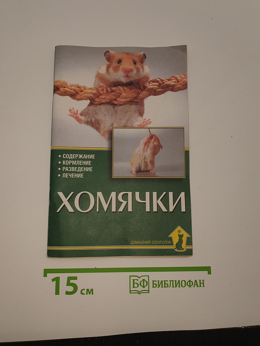 Хомячки