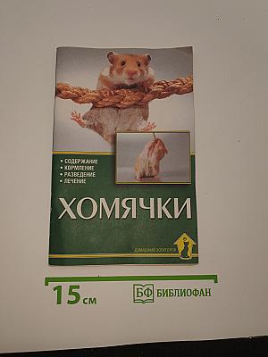 Хомячки
