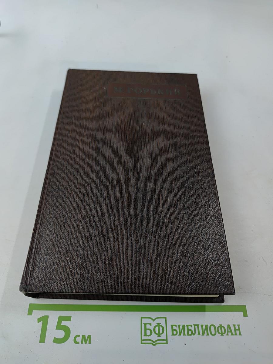 Полное собрание сочинений. Том 8: Мать. Рассказы. Очерк