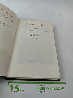 Полное собрание сочинений. Том 8: Мать. Рассказы. Очерк