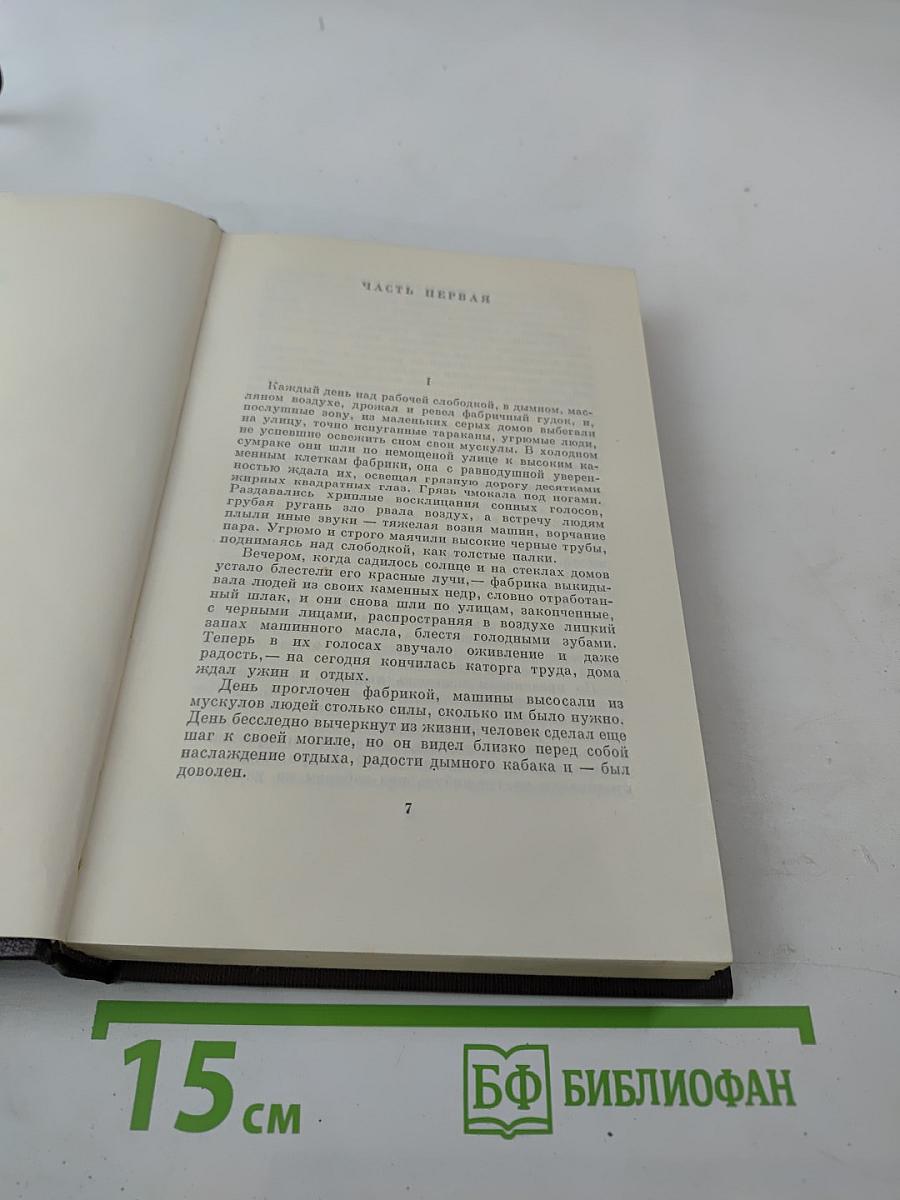 Полное собрание сочинений. Том 8: Мать. Рассказы. Очерк