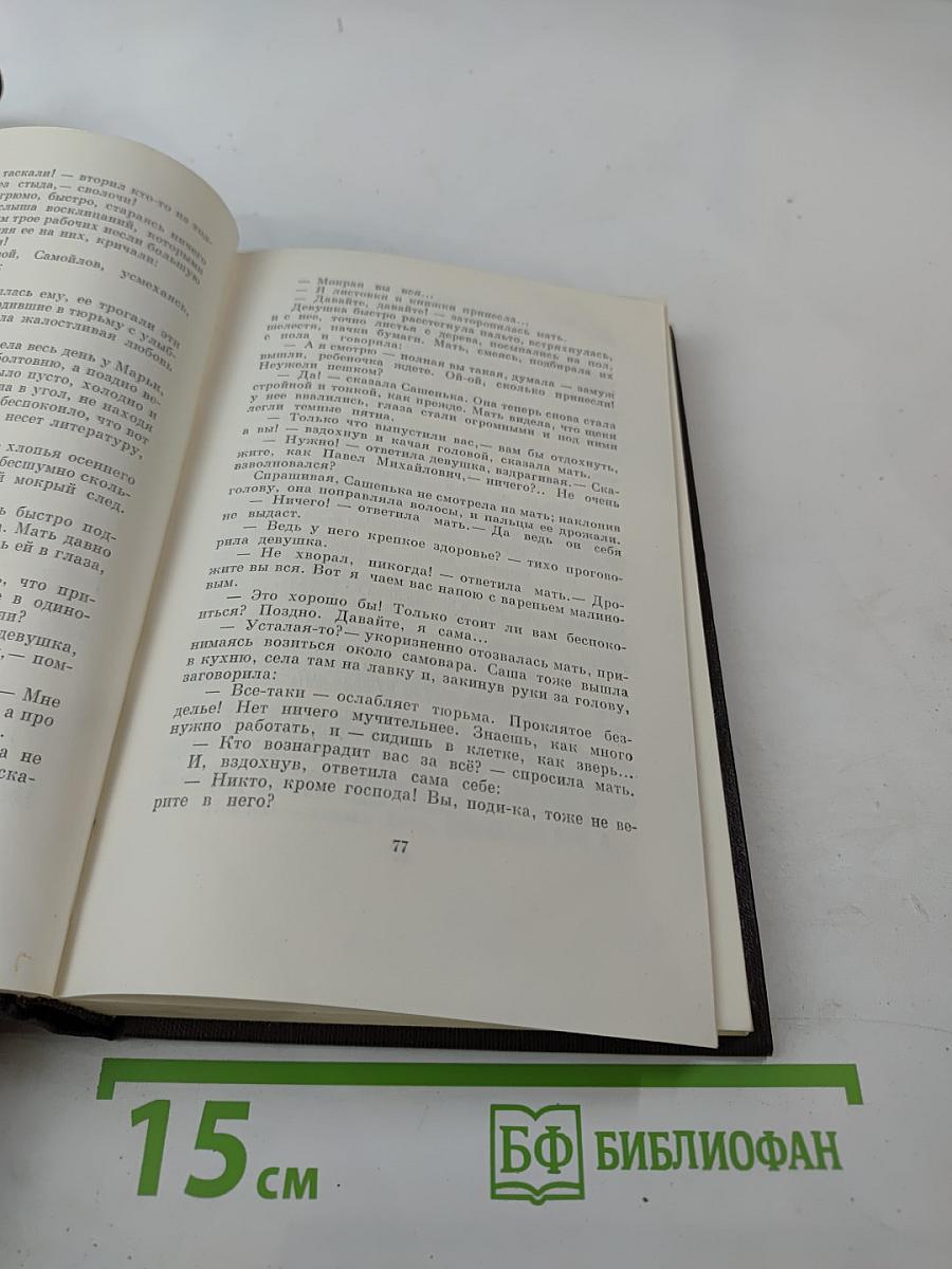 Полное собрание сочинений. Том 8: Мать. Рассказы. Очерк