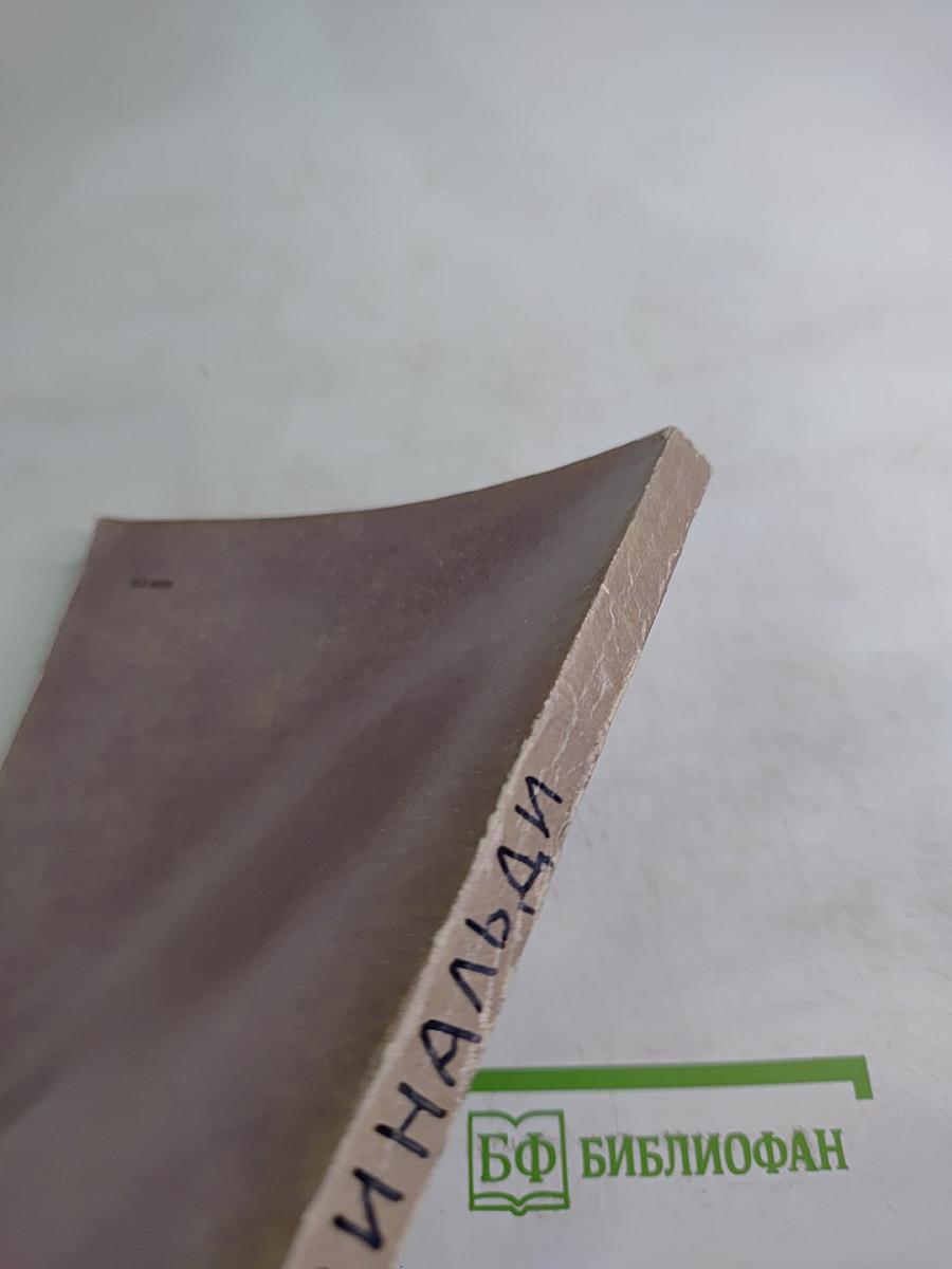 Антонио Ринальди