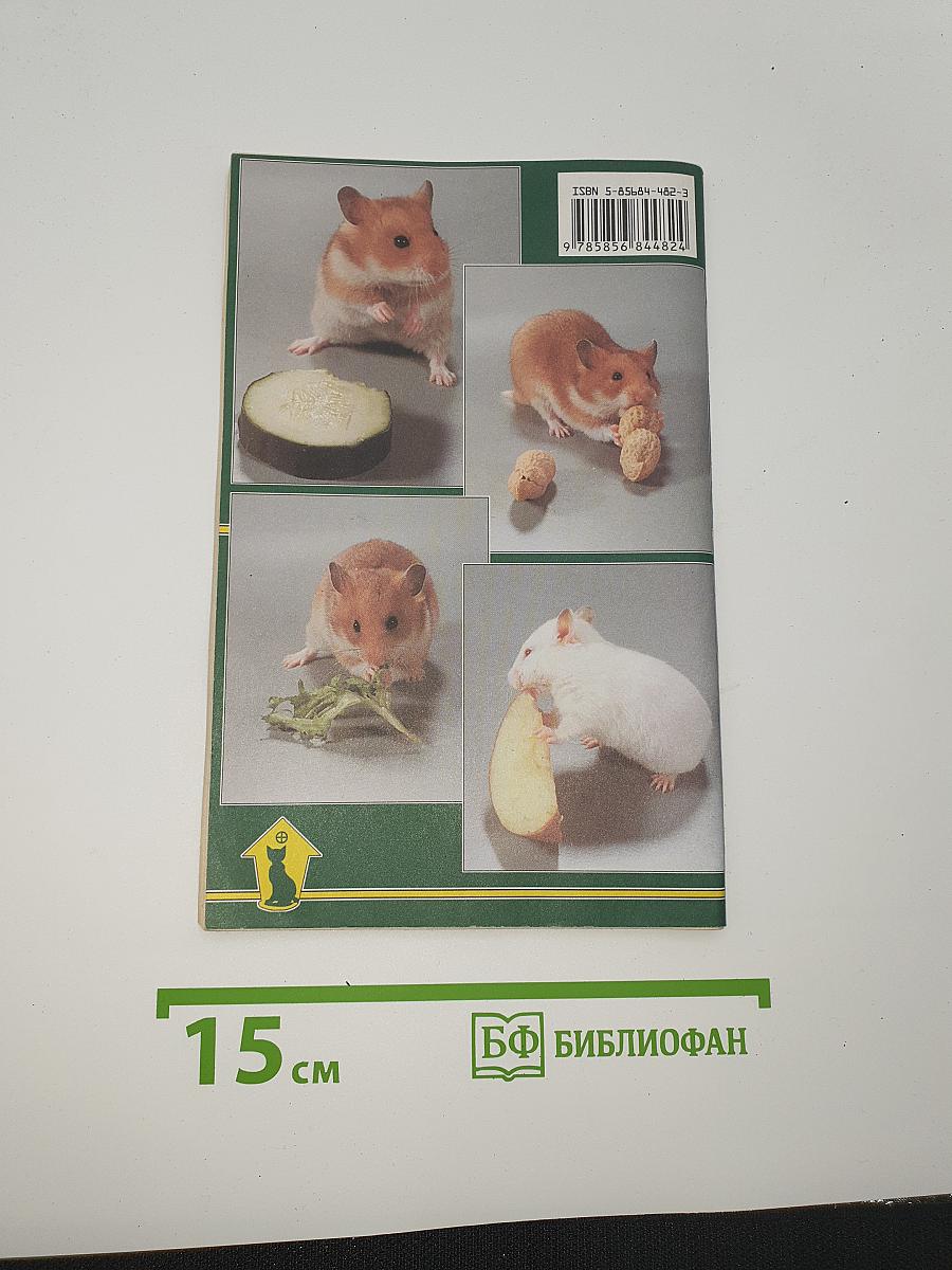 Хомячки