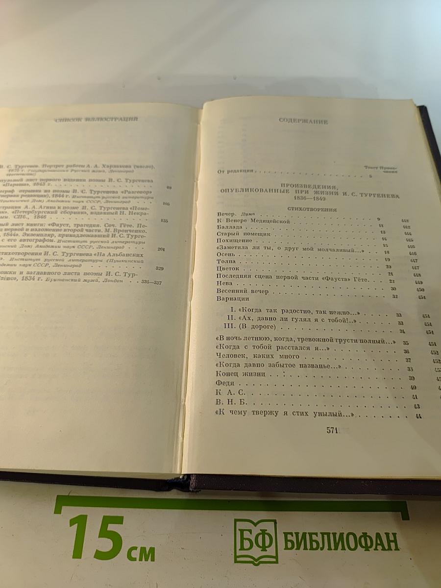 Полное собрание сочинений и писем. Сочинения. Том 1. Стихотворения, поэма, статьи и рецензии, прозаические наброски 1834-1849