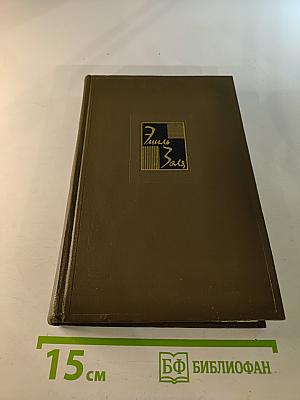 Собрание сочинений. Том Шестнадцатый: Ругон-Маккары. Доктор Паскаль