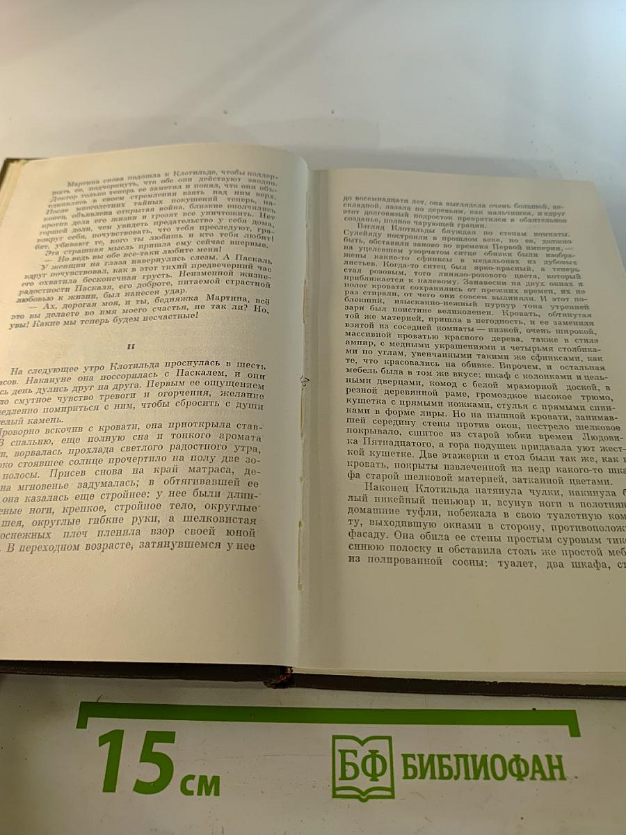Собрание сочинений. Том Шестнадцатый: Ругон-Маккары. Доктор Паскаль