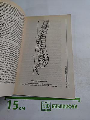 Золотые правила здоровья