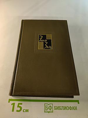 Собрание сочинений. Том шестнадцатый: Ругон-Маккары. Доктор Паскаль