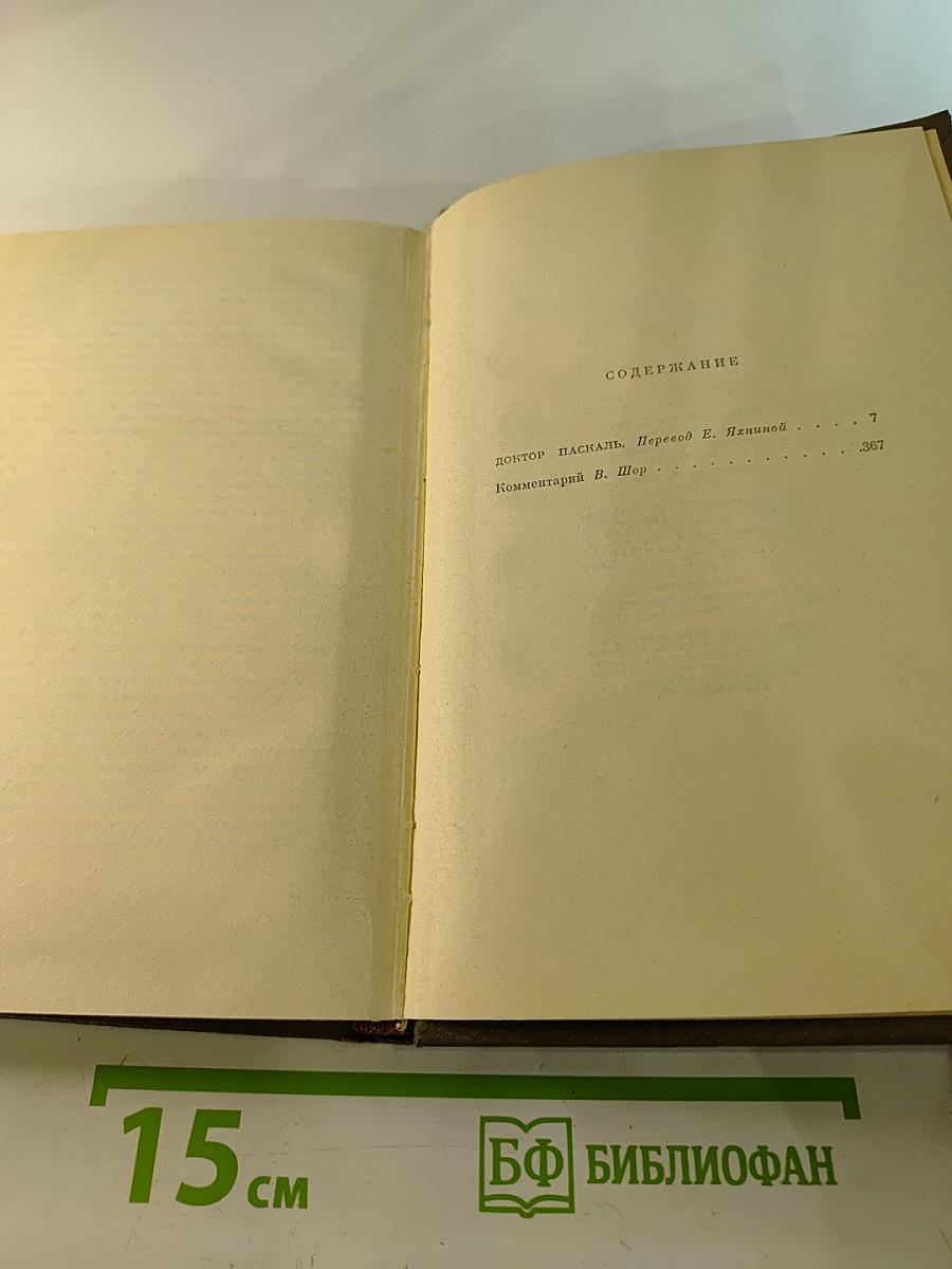 Собрание сочинений. Том шестнадцатый: Ругон-Маккары. Доктор Паскаль