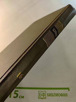 Собрание сочинений. Том шестнадцатый: Ругон-Маккары. Доктор Паскаль