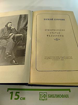 Василий Курочкин. Стихотворения, Статьи, Фельетоны